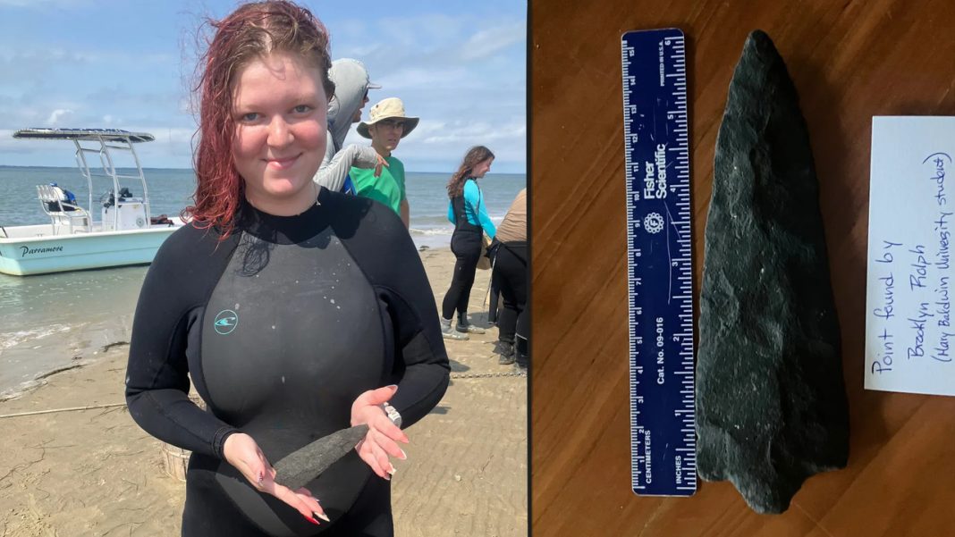 A Virginia Student Went Looking for Shark Teeth and Found a 4,500-Year-Old Spearpoint