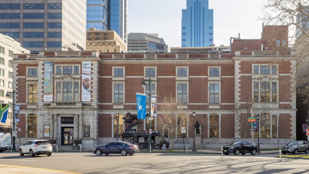 America’s Oldest Natural History Museum Has Closed. These Are the Pieces It Leaves Behind America’s Oldest Natural History Museum