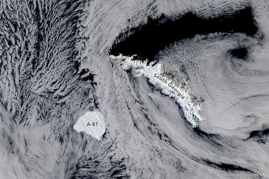 A Giant Antarctic Iceberg Has Reached a Remote Island After a Three Year Journey A Giant Antarctic Iceberg Has Reached a Remote Island After a Three Year Journey