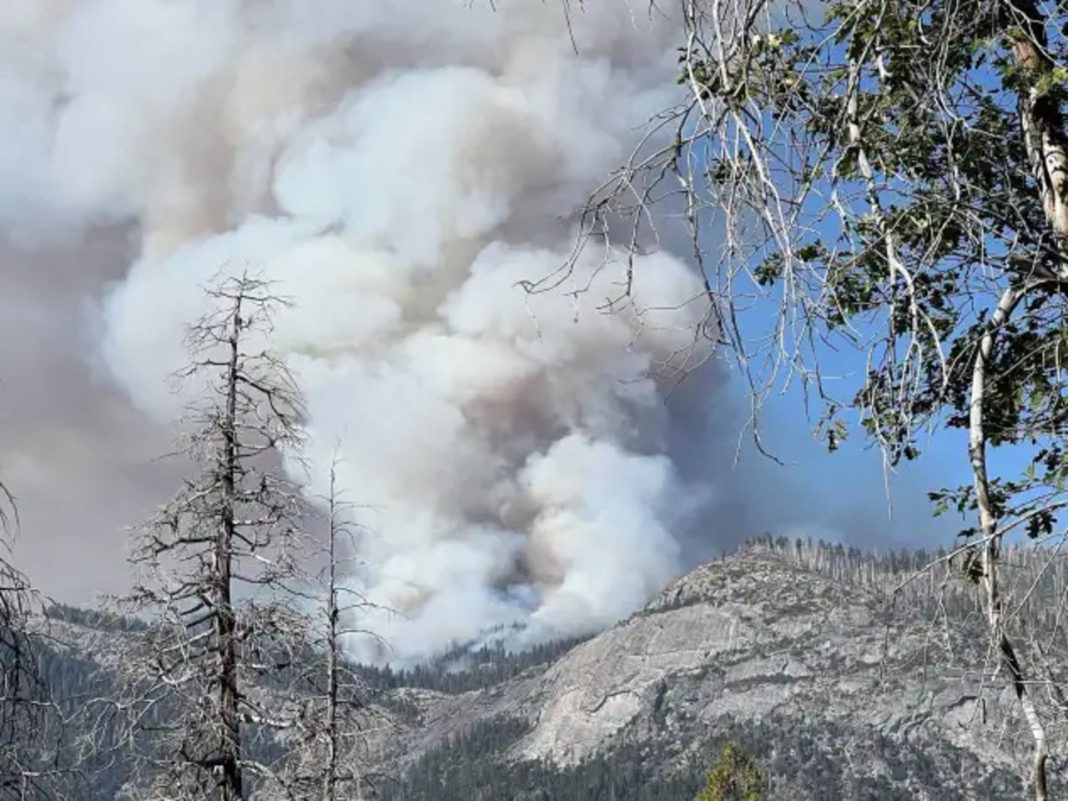 7 Unusual Tools and Tactics Helping Fire Crews Fight Yosemite’s Dome Fire Yosemite's Dome Fire