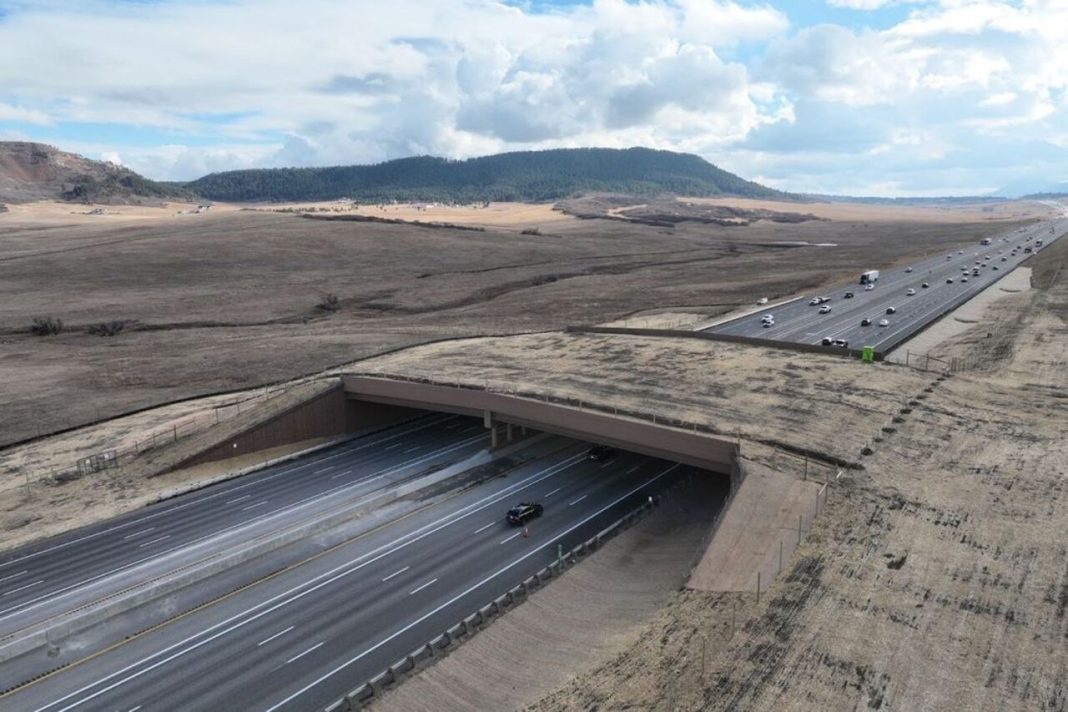 6 Things to Know About Colorado’s Giant Wildlife Crossing Colorado’s Giant Wildlife Crossing