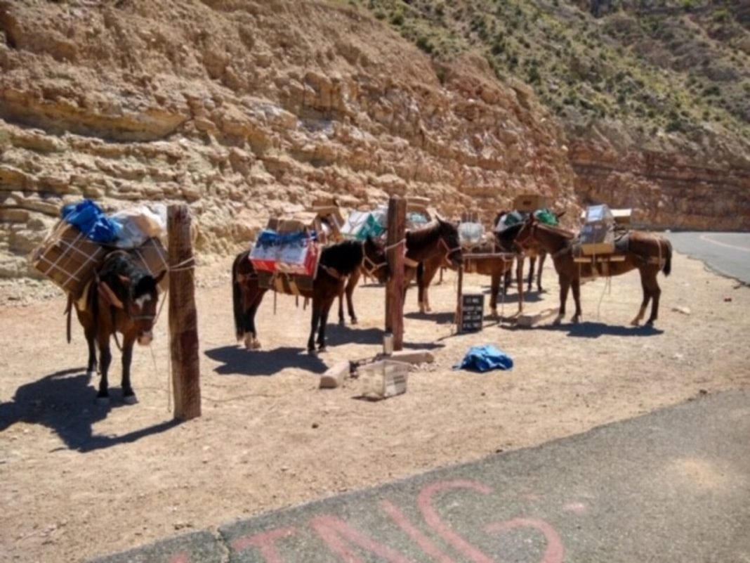 6 U.S. Mail Routes That Still Depend on Mules, Boats and Other Unusual Methods 6 U.S. Mail Routes That Still Depend on Mules, Boats and Other Unusual Methods